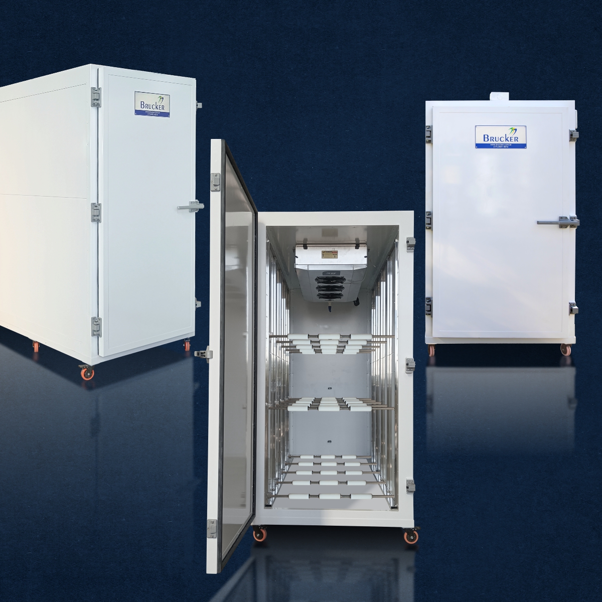 Câmara Fria de Conservação de Corpos