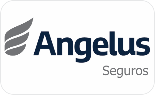 SUMMIT BRUCKER 2026 ANGELUS ASSISTÊNCIA